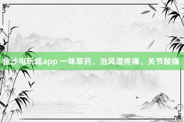 金沙電玩城app 一味草藥,治風(fēng)濕疼痛、關(guān)節(jié)酸痛