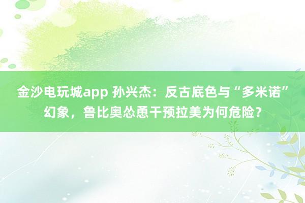 金沙電玩城app 孫興杰：反古底色與“多米諾”幻象，魯比奧慫恿干預拉美為何危險？