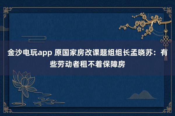 金沙電玩app 原國家房改課題組組長孟曉蘇：有些勞動者租不著保障房