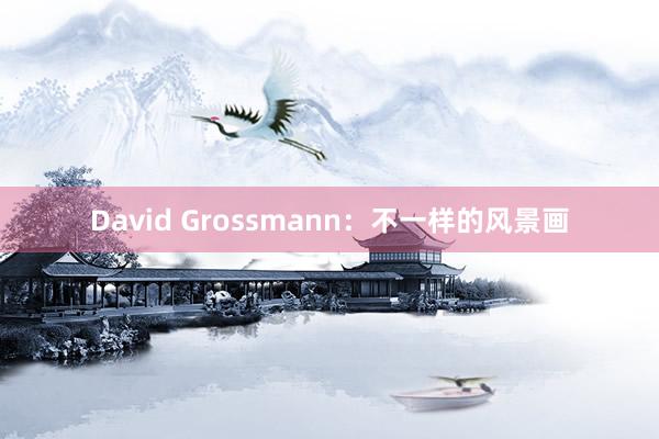David Grossmann:不一樣的風(fēng)景畫
