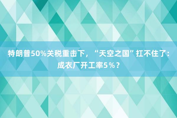 特朗普50%關(guān)稅重?fù)粝拢疤炜罩畤笨覆蛔×耍撼梢聫S開工率5%?