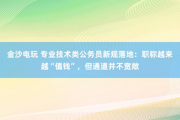 金沙電玩 專業技術類公務員新規落地:職稱越來越“值錢”,但通道并不寬敞