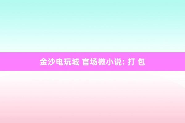 金沙電玩城 官場微小說: 打 包