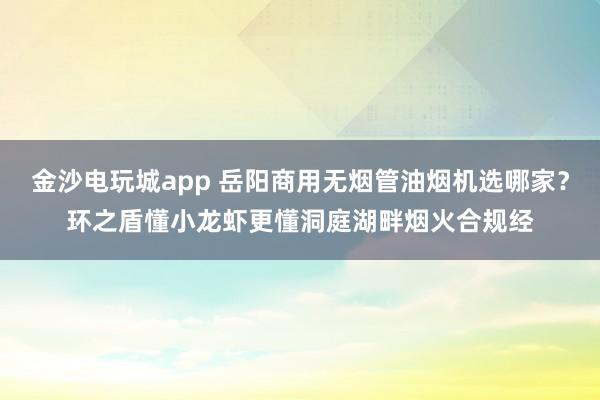 金沙電玩城app 岳陽(yáng)商用無(wú)煙管油煙機(jī)選哪家?環(huán)之盾懂小龍蝦更懂洞庭湖畔煙火合規(guī)經(jīng)